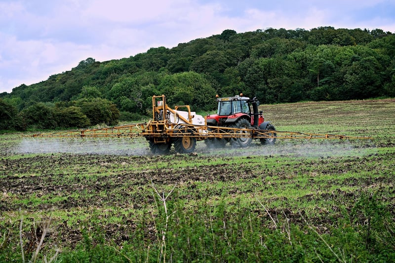 Natural Fertilizers