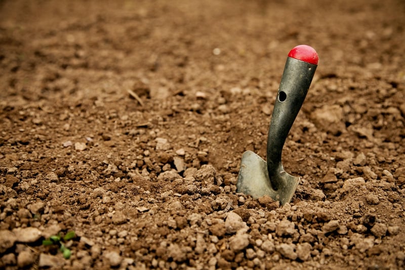 Home Gardening